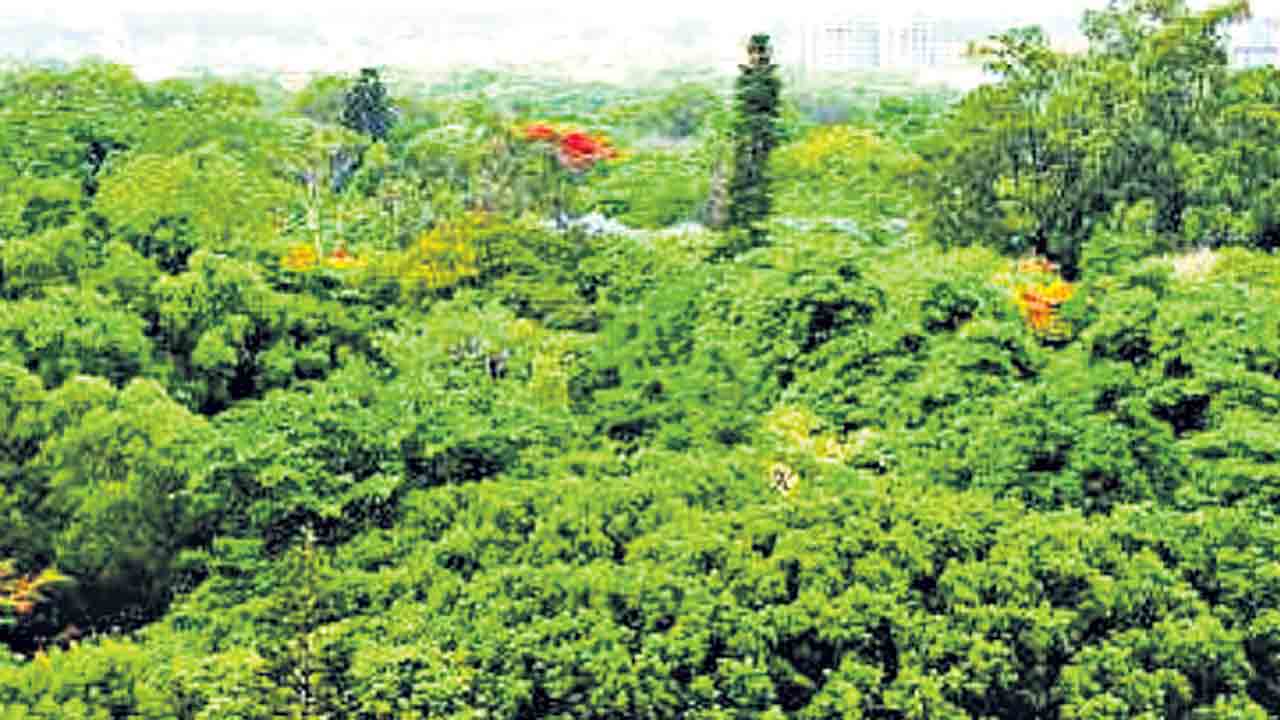 309.85 హెక్టార్లు అటవీ ప్రాంతంగా నోటిఫై