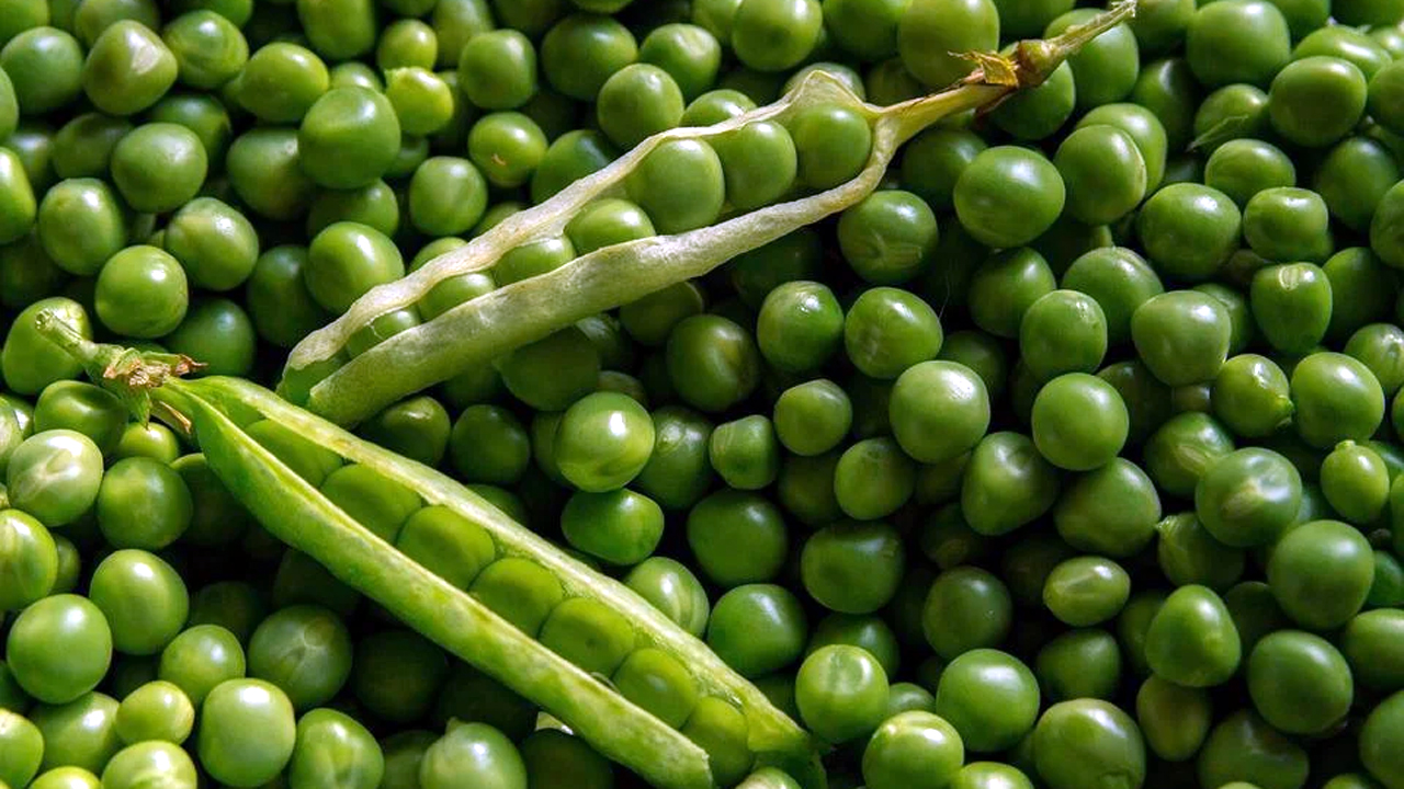 ప‌చ్చి బ‌ఠాణీ తింటే ఎన్ని లాభాలో తెలుసా!!