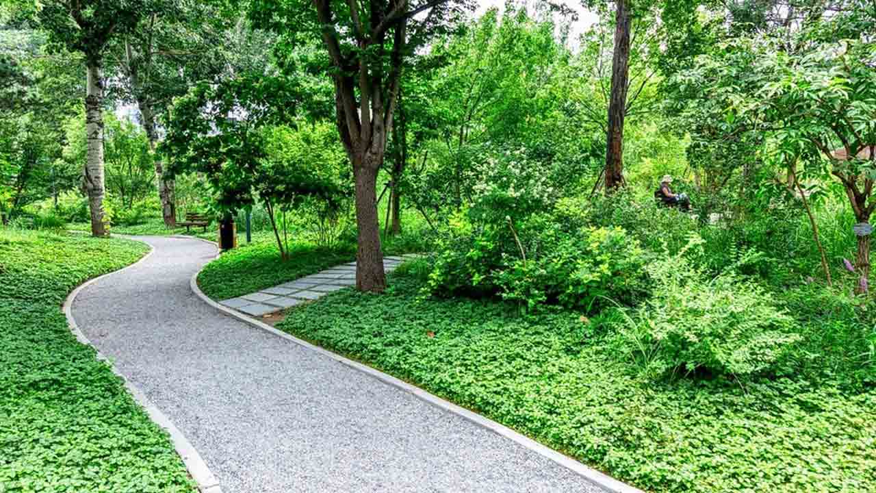 హైద‌రాబాద్ ప‌రిధిలో మ‌రో 6 అర్బన్‌ ఫారెస్ట్‌ పార్కులు..