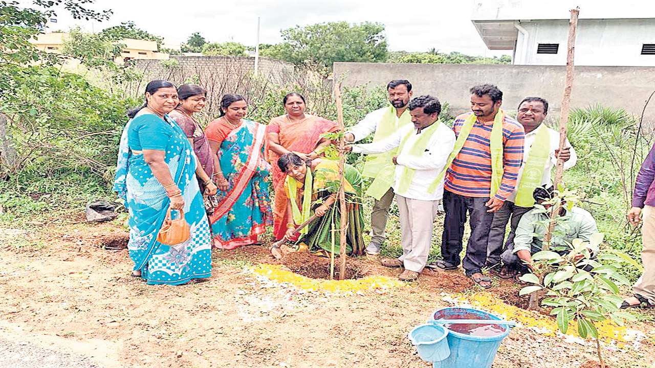 ప్రతి ఒక్కరూ మొక్కలు నాటాలి