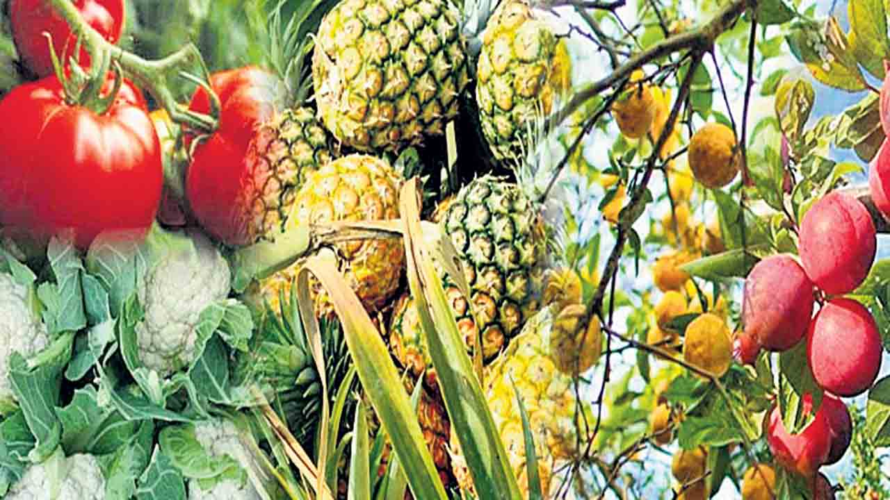 ఉద్యానానికి ఊతం