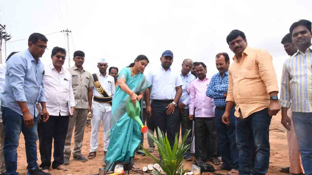 ఆయిల్ ఫామ్ సాగుకు ప్రోత్సాహం : జెడ్పీ చైర్‌ పర్సన్‌ సరిత