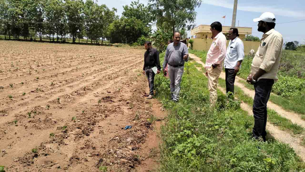 పంటల్లో నిలిచిన నీటిని తొలగించాలి