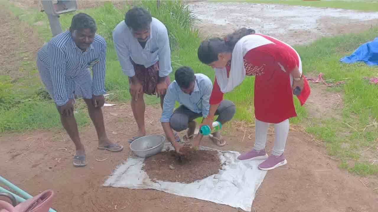 తక్కువ పెట్టుబడి.. అధిక దిగుబడి