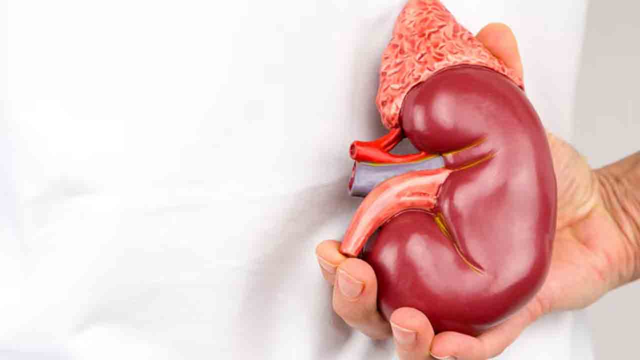 ఒకేవైపు రెండు కిడ్నీలు