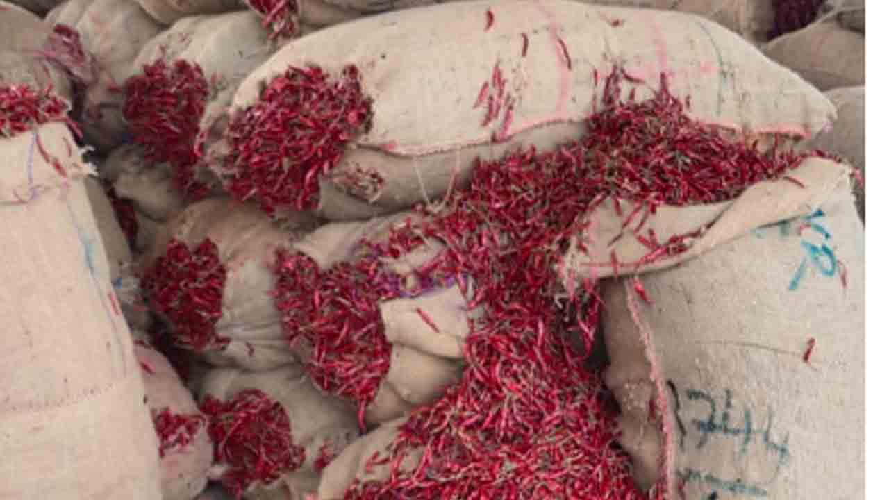 ఖమ్మం ఏఎంసీలో తేజా మిర్చికి ఆల్‌టైం రికార్డ్‌ ప్రైస్‌