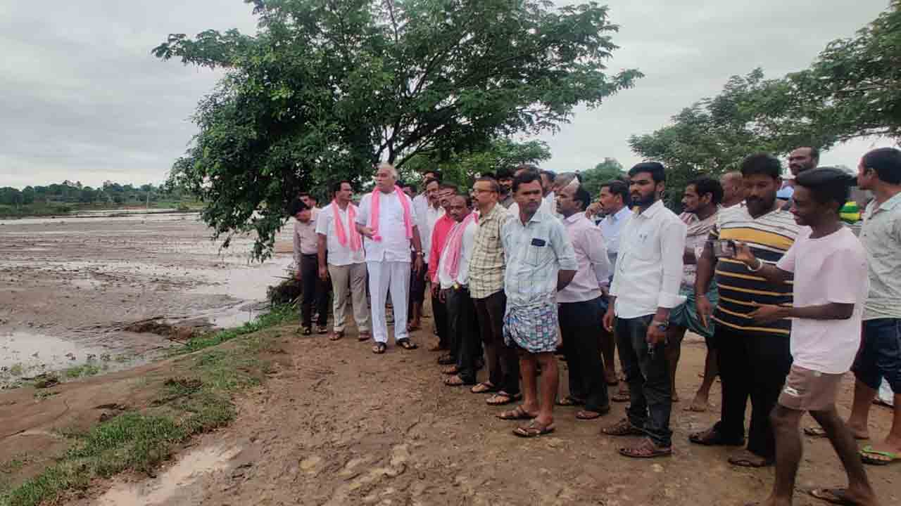 పంట నష్టపోయిన రైతులను ఆదుకుంటాం : ఎమ్మెల్యే కోనప్ప