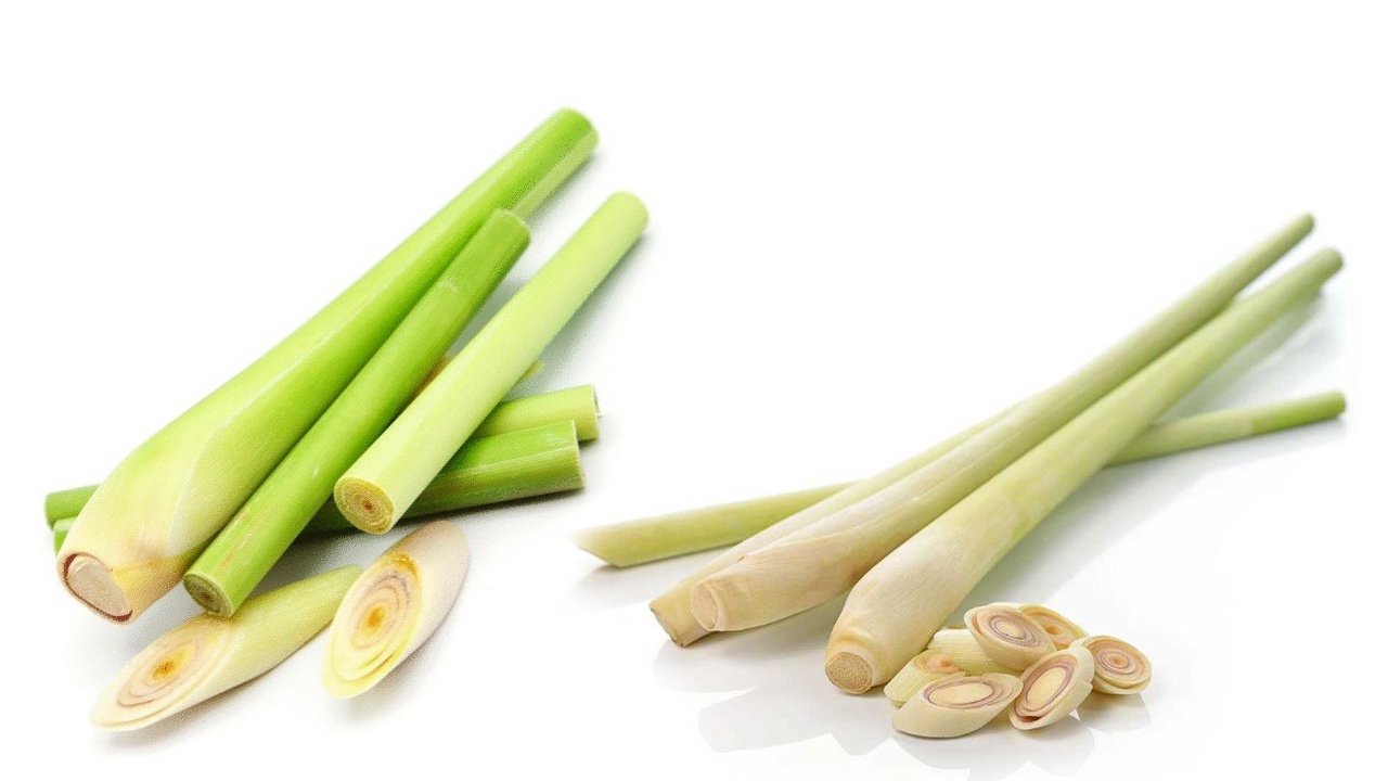 Lemongrass | లెమ‌న్‌గ్రాస్‌తో చేసిన టీ తాగితే లాభ‌మేంటి?