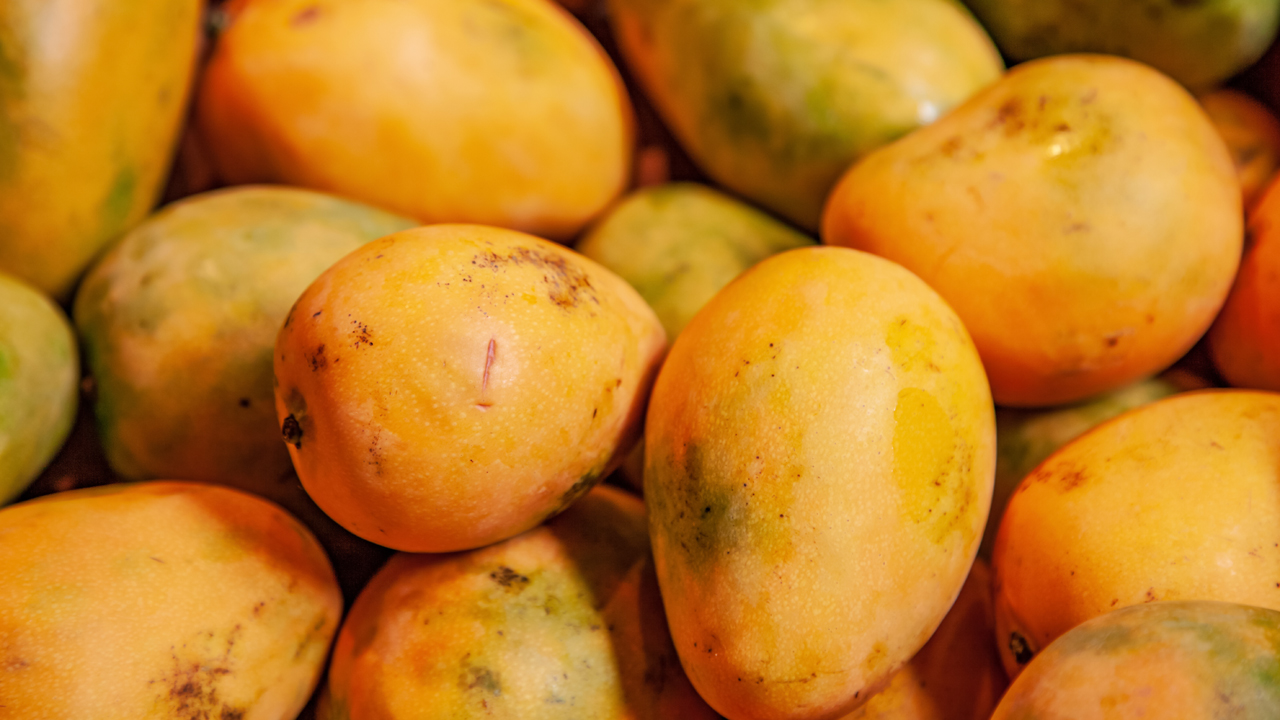 ఇలా మామిడి పండ్ల రుచిని ఏడాదంతా ఎప్పుడైనా ఆస్వాదించొచ్చు !