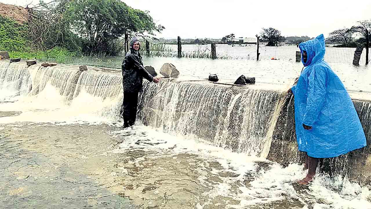 దంచికొడుతున్న వాన
