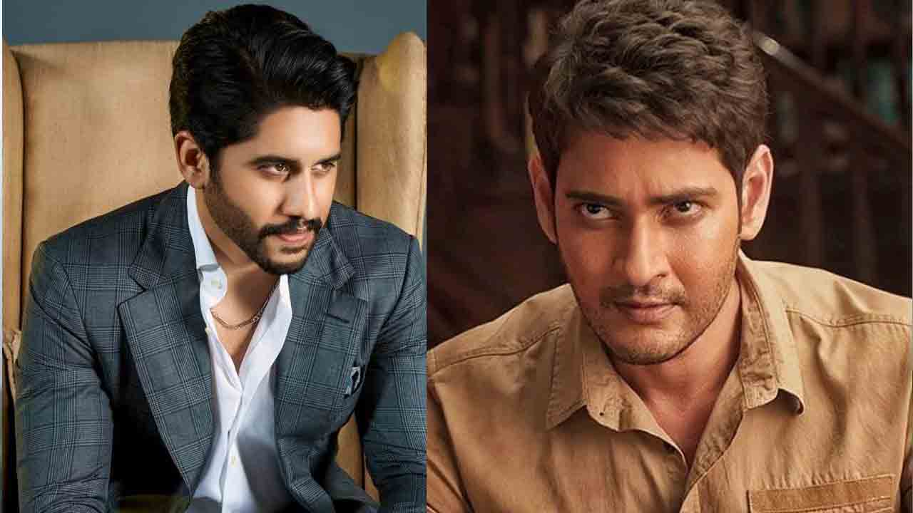 Naga Chaitanya | క్రేజీ న్యూస్‌..మ‌హేశ్ బాబు అభిమానిగా నాగ‌చైత‌న్య‌..!