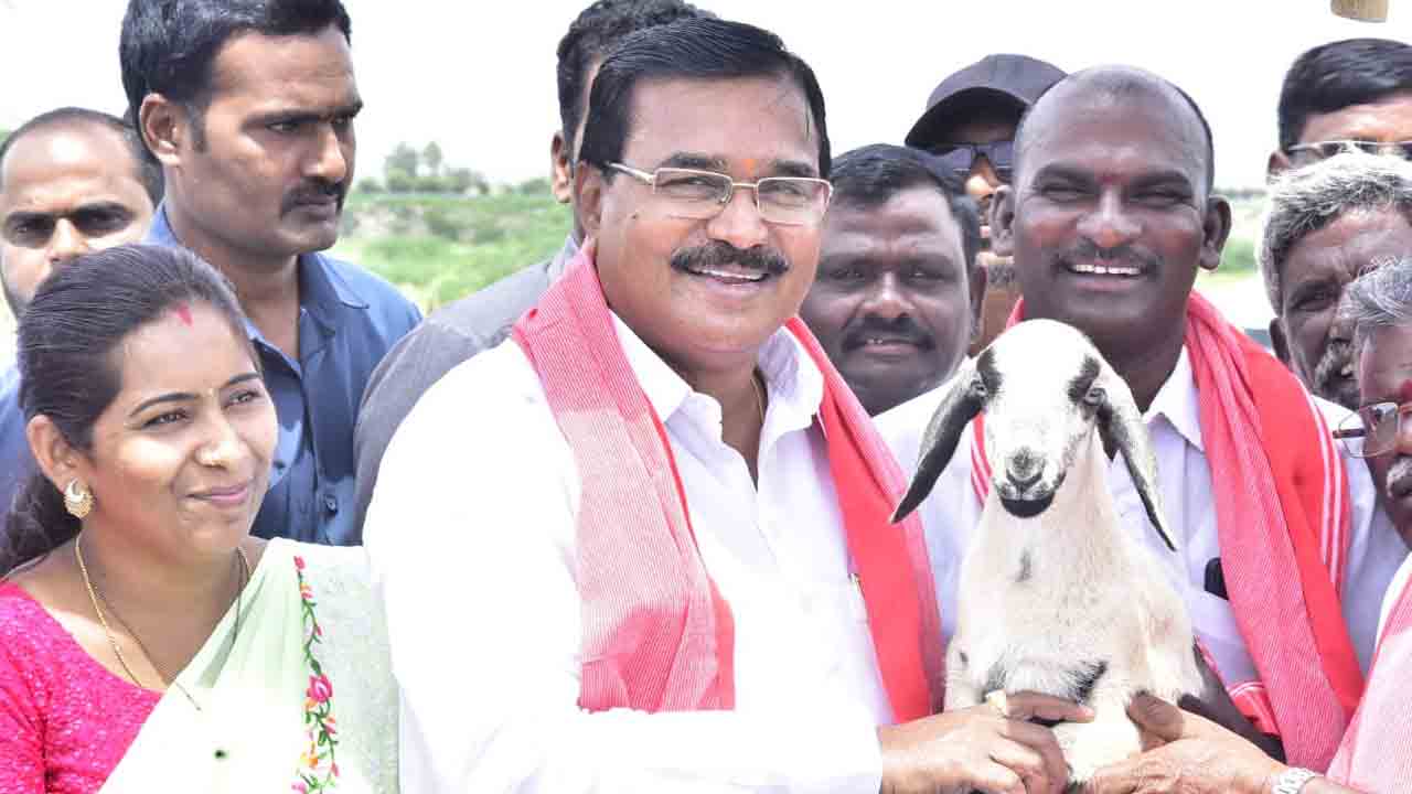 వ్యవసాయం తర్వాత గొర్రెల పెంపకానికి ప్రాధాన్యం : మంత్రి నిరంజన్‌ రెడ్డి