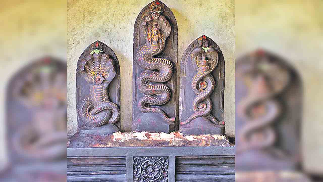 సర్పజాతికి కృతజ్ఞతగా