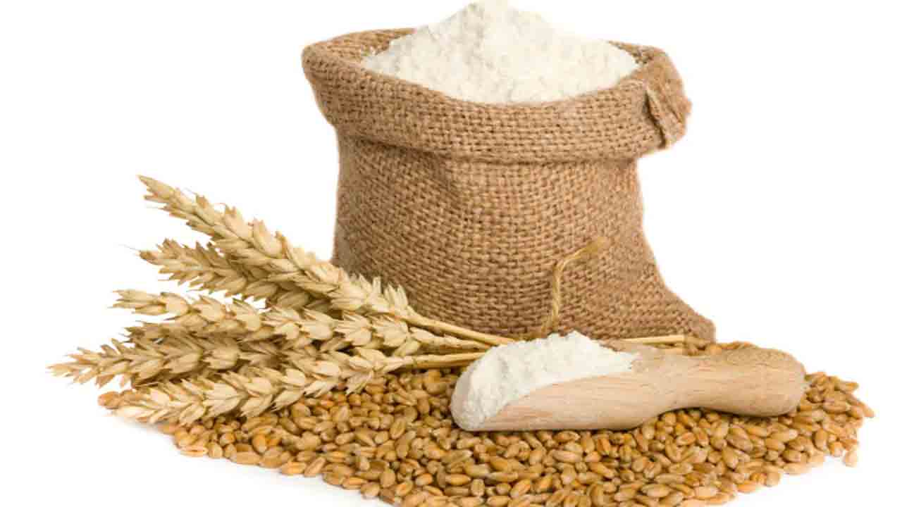 గోధుమ పిండి ఎగుమతులపై ఆంక్షలు