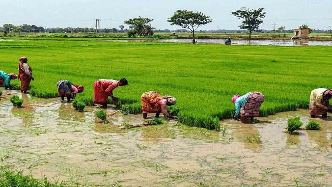 వరి రైతులతో కేంద్రం బంతాట