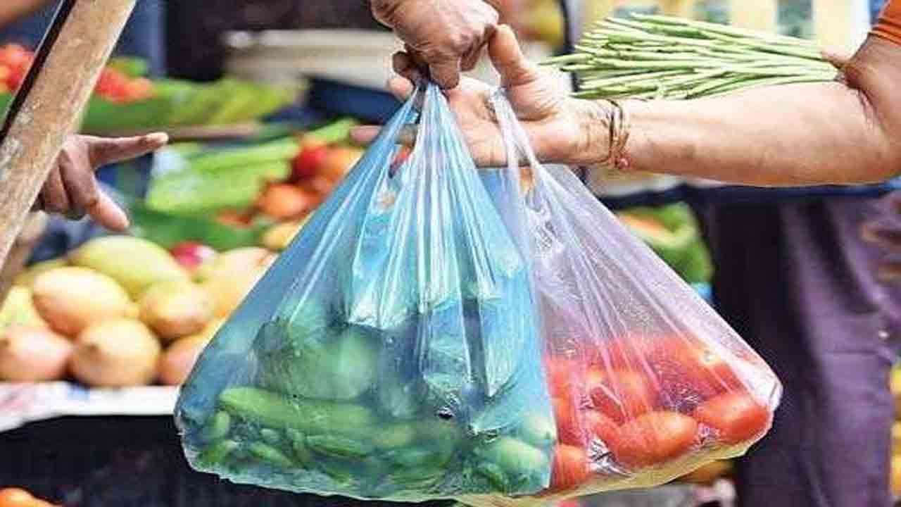 సింగిల్‌ యూజ్‌ ప్లాస్టిక్‌కు పాతర