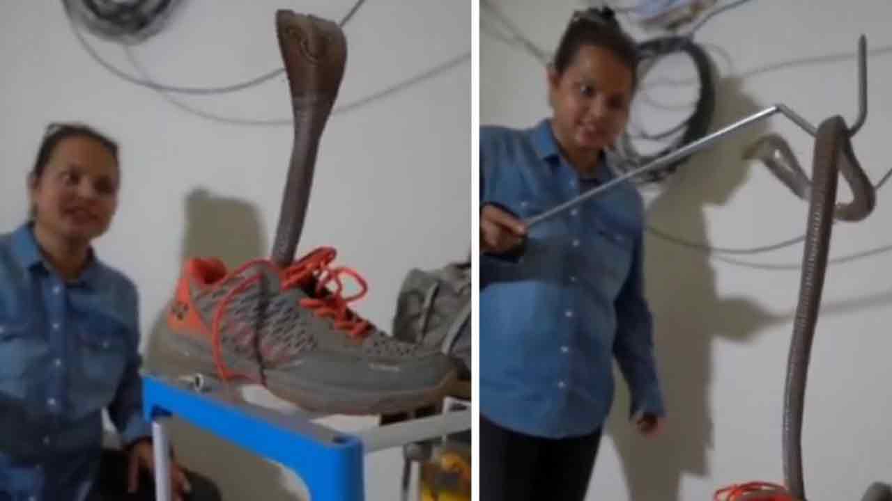 Viral Video: వ‌ర్షాకాలం జ‌ర‌ జాగ్ర‌త్త‌.. షూలో ఇలా పెద్ద నాగుపాములు ఉండొచ్చు..!!