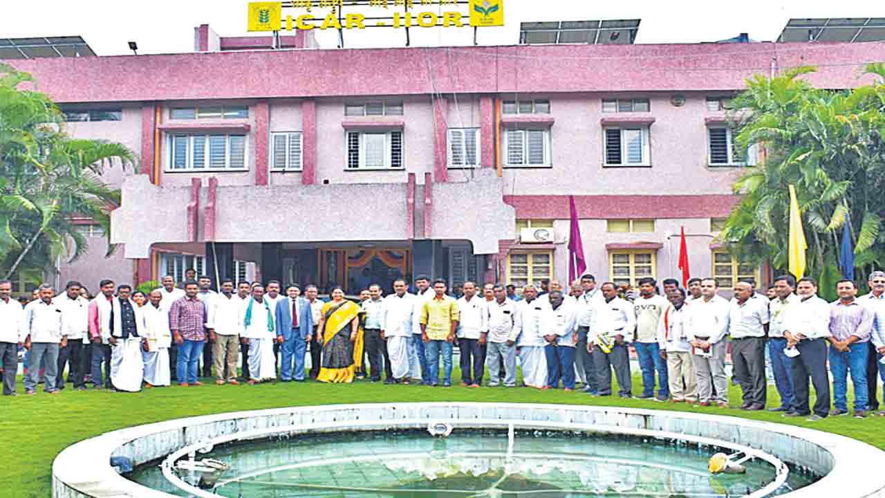 నూనెగింజల సాగు పెరగాలి