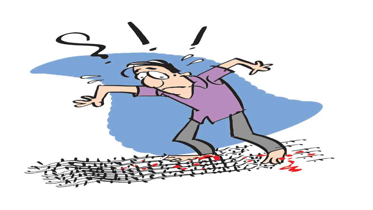 ముండ్ల మీదున్నట్లుంది!