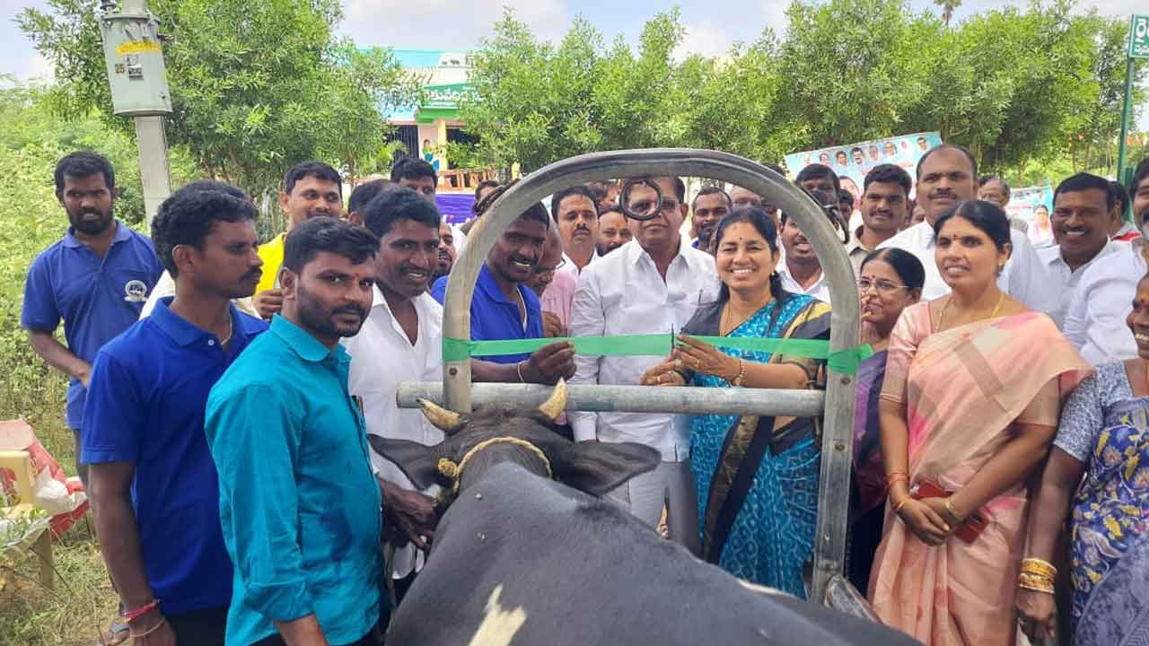 పాడి సంపద పెంపునకు ప్రభుత్వం కృషి