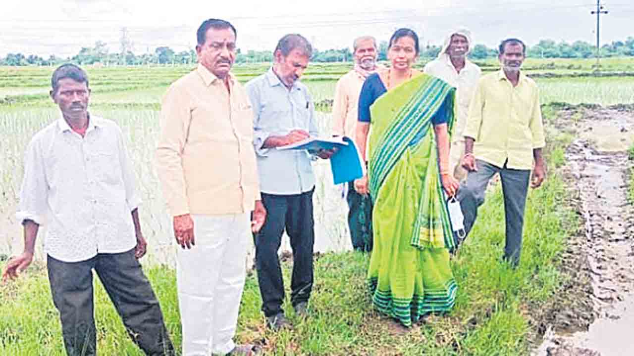 కొనసాగుతున్న క్రాప్‌ బుకింగ్‌