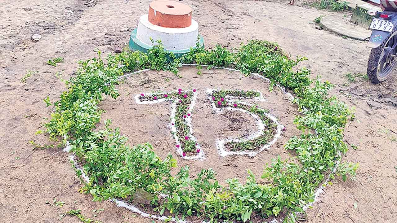 నేడే వనపండుగ