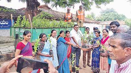 ఇంటింటా మొక్కలు పెంచాలి