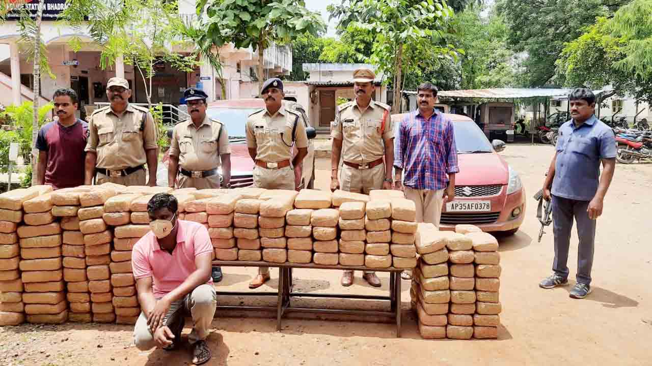 ఆగని గంజాయి దందా