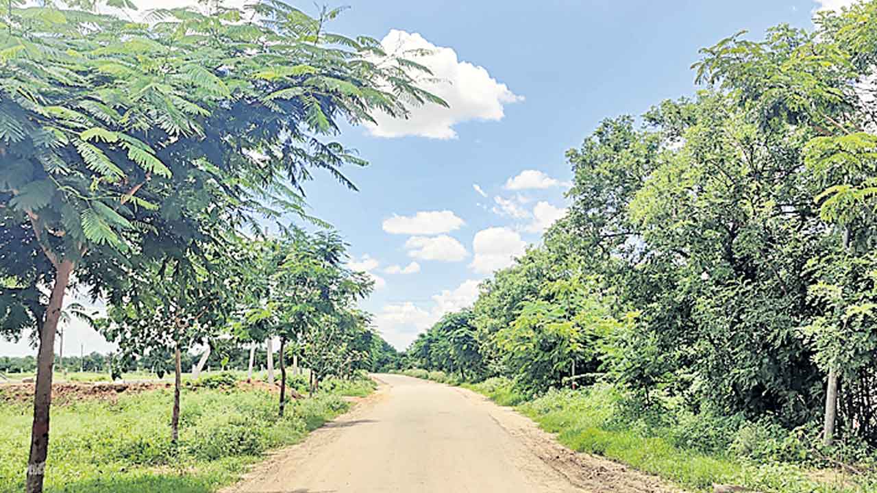 ప్రగతి దిద్దిన పల్లె