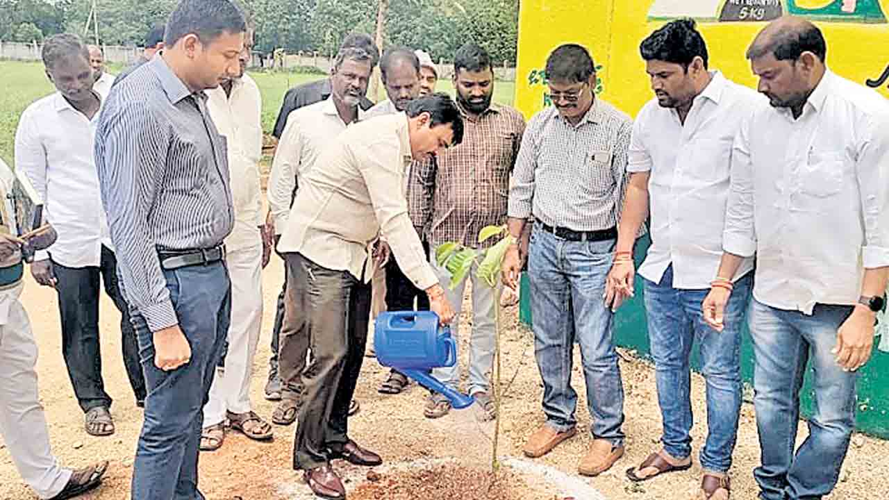 కలెక్టరేట్‌లో ఫ్రీడమ్‌ పార్కు