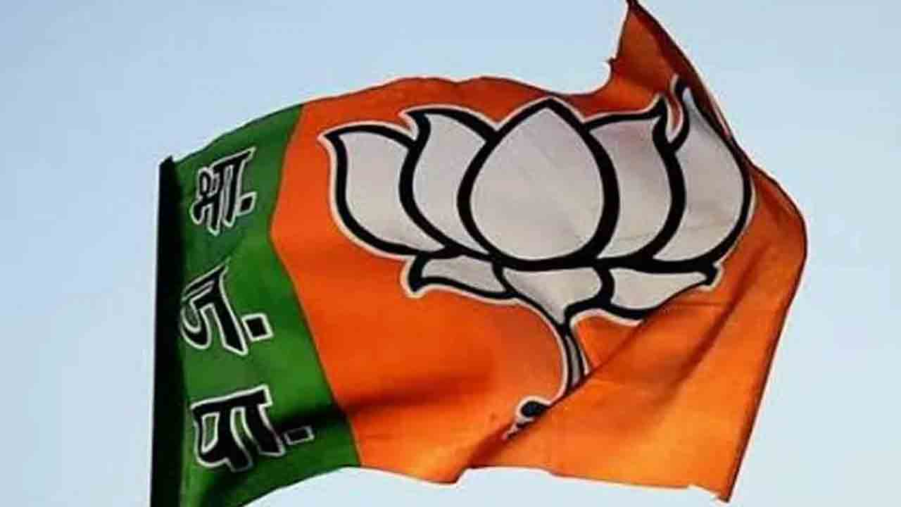 బీజేపీకి గుణపాఠం