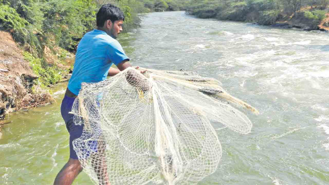 వల విసిరితే 60% సర్కిల్‌ ఏర్పడాలి