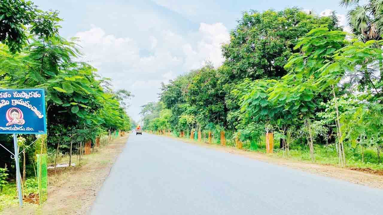 దారి పొడవునా పచ్చందాలు