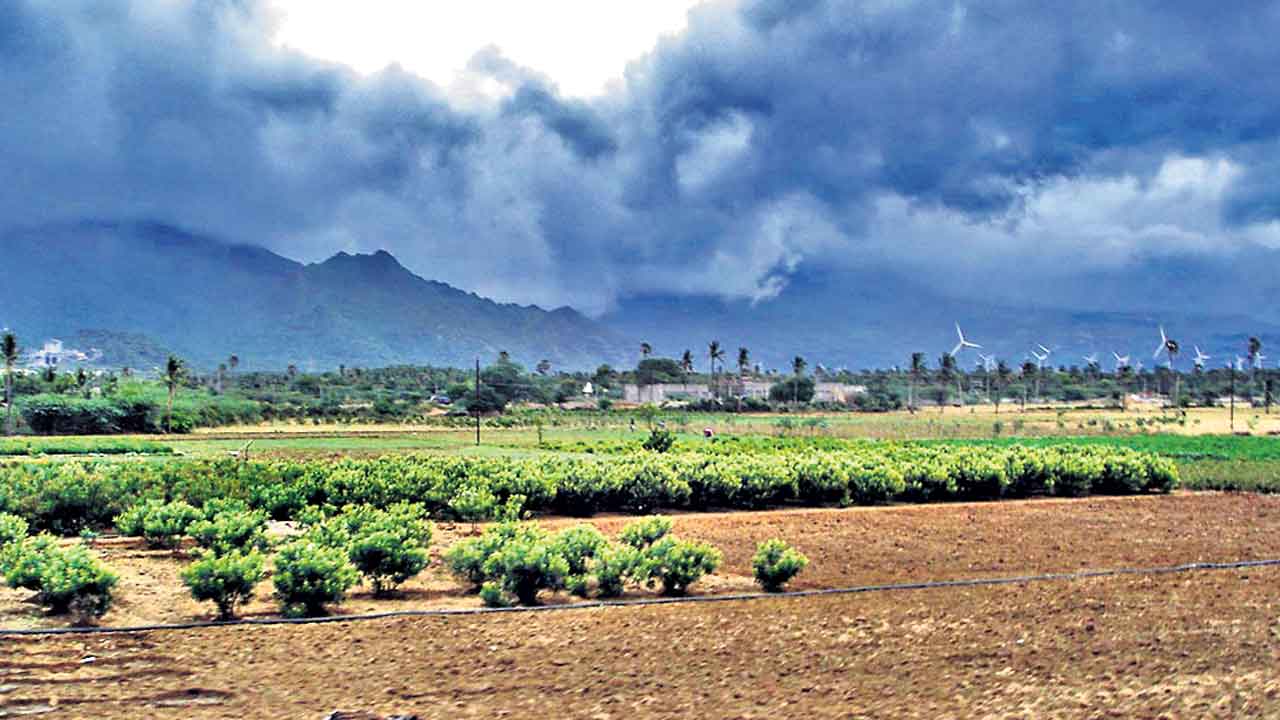 వచ్చే నెల మొదటివారంలో నైరుతి తిరోగమనం