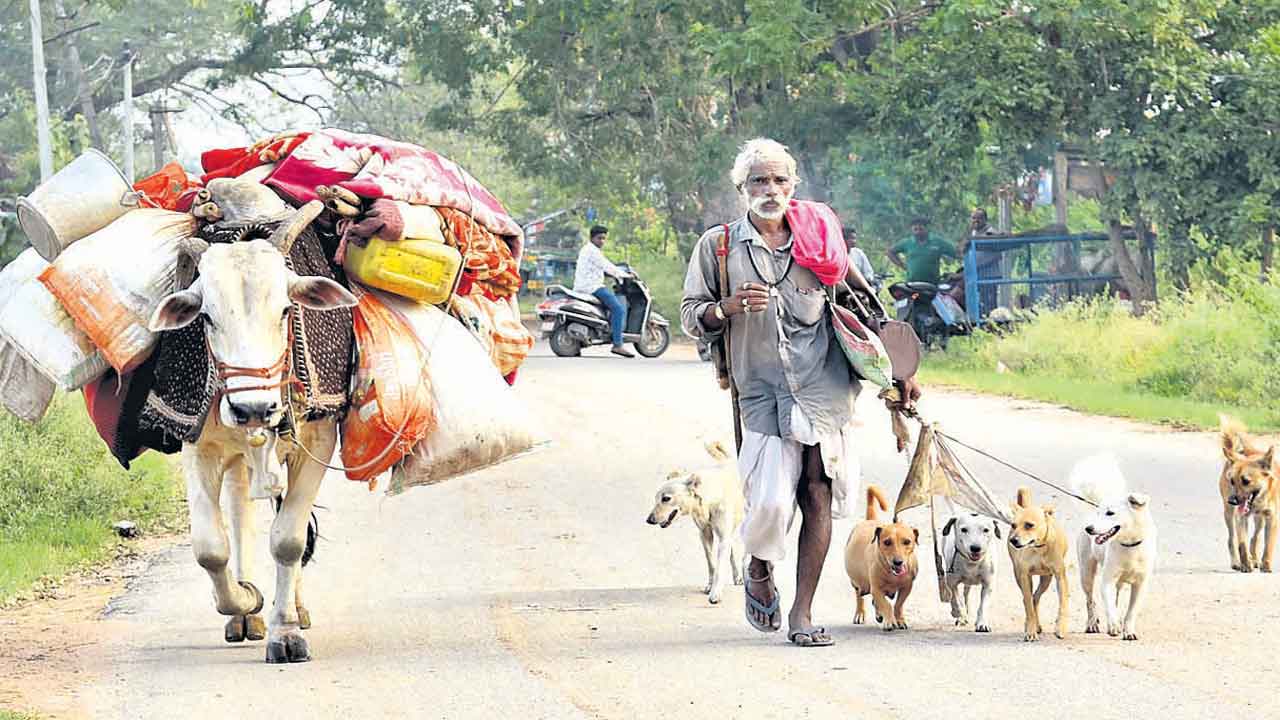 చెదరని జ్ఞాపకం.. ఛాయా చిత్రం