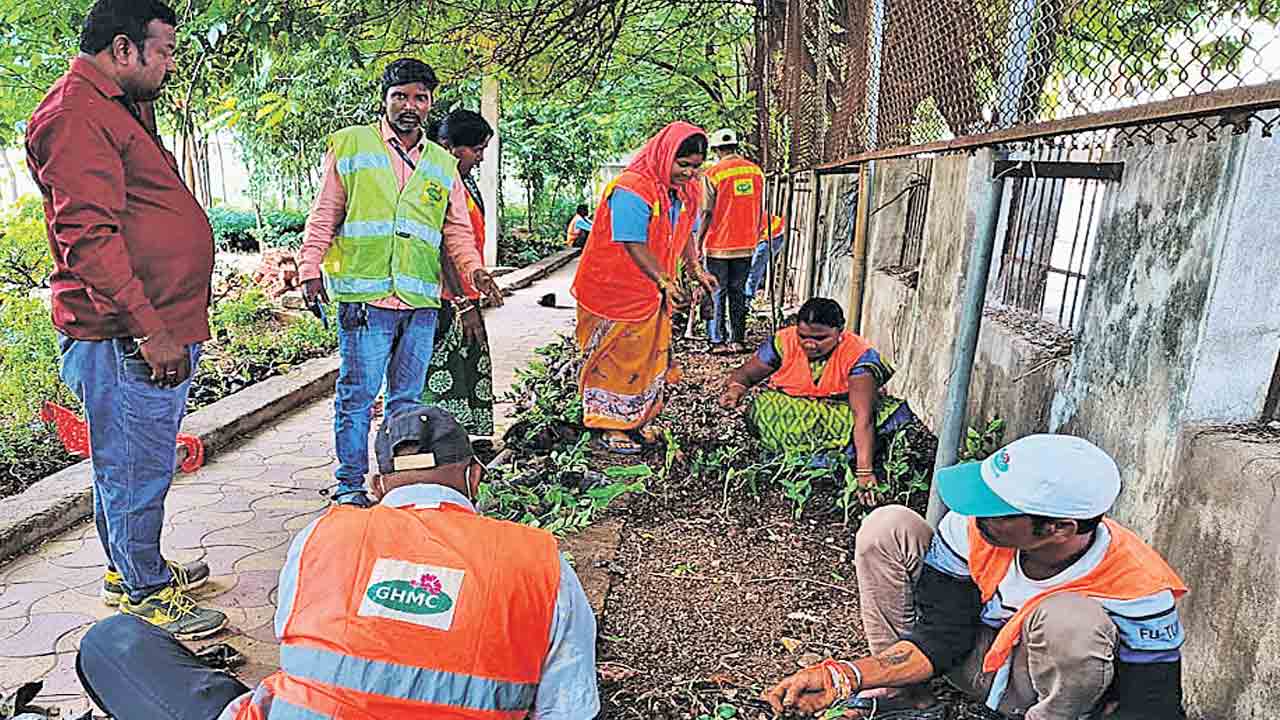 ఐదు సర్కిళ్లు..ఐదు లక్షల మొక్కలు