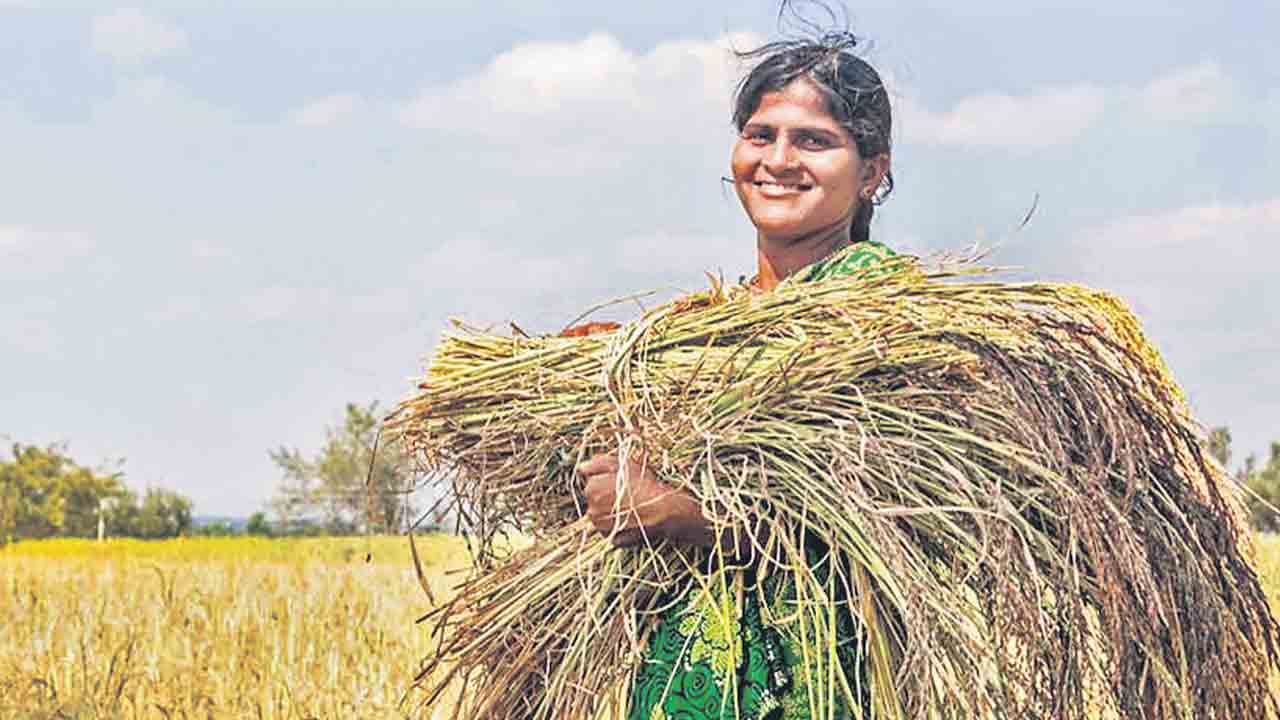సేద్యంలో.. చిరునవ్వుల సవ్వడి!