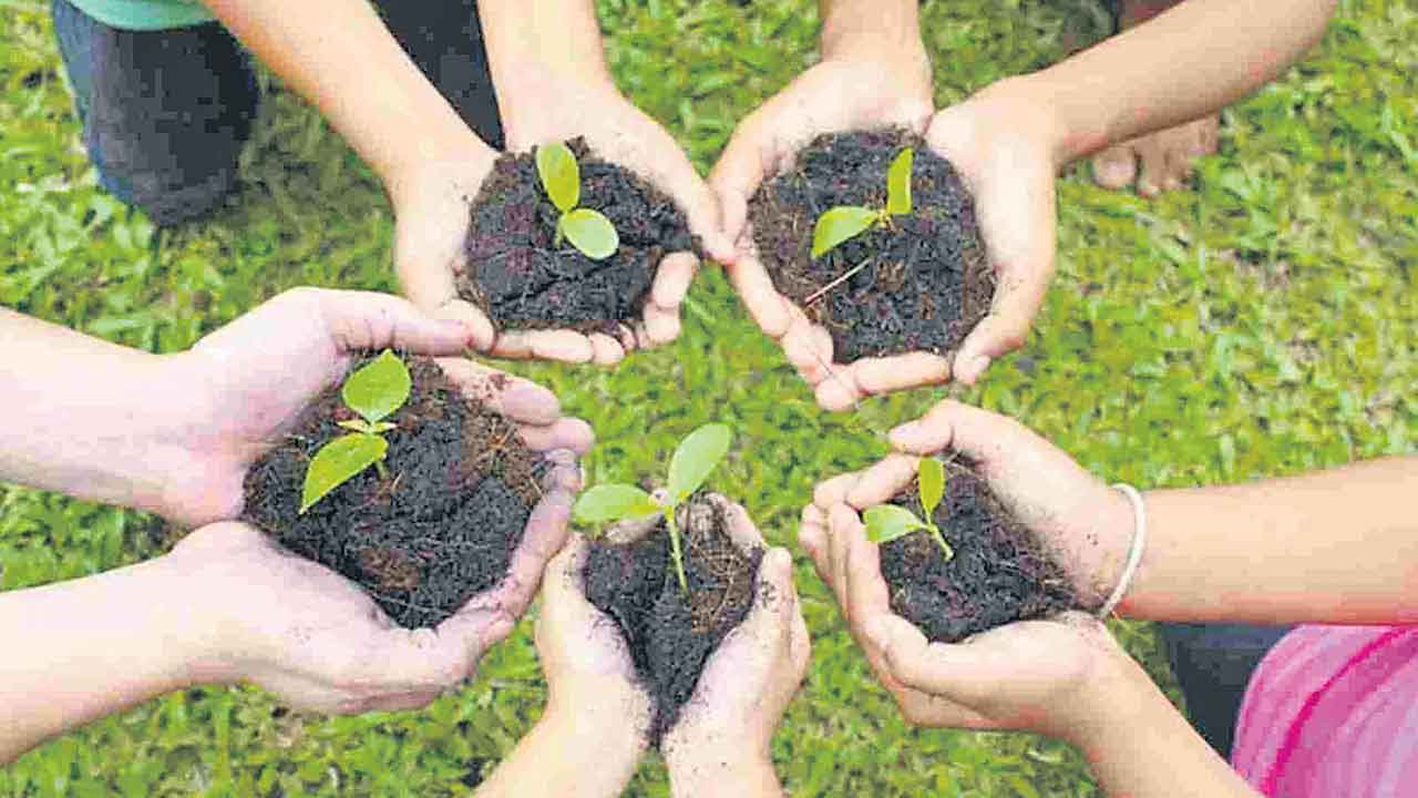 నేడు వన మహోత్సవం