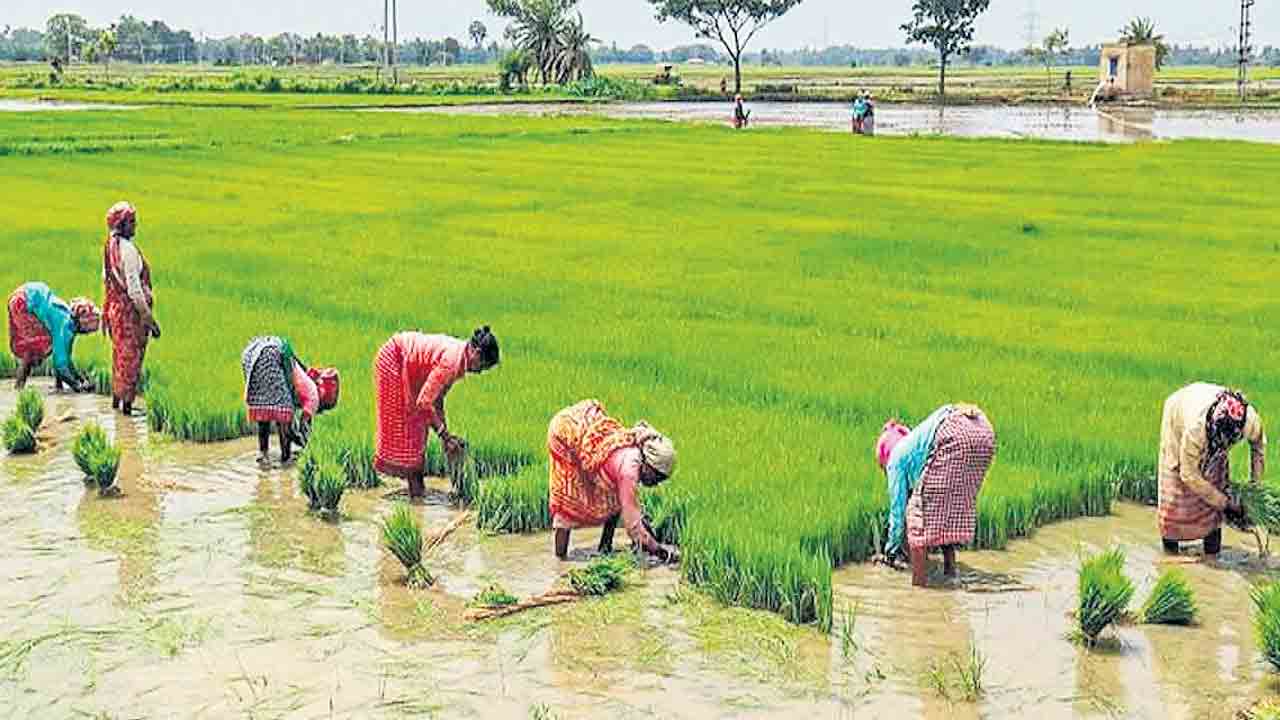 90 లక్షల ఎకరాల్లో సాగు