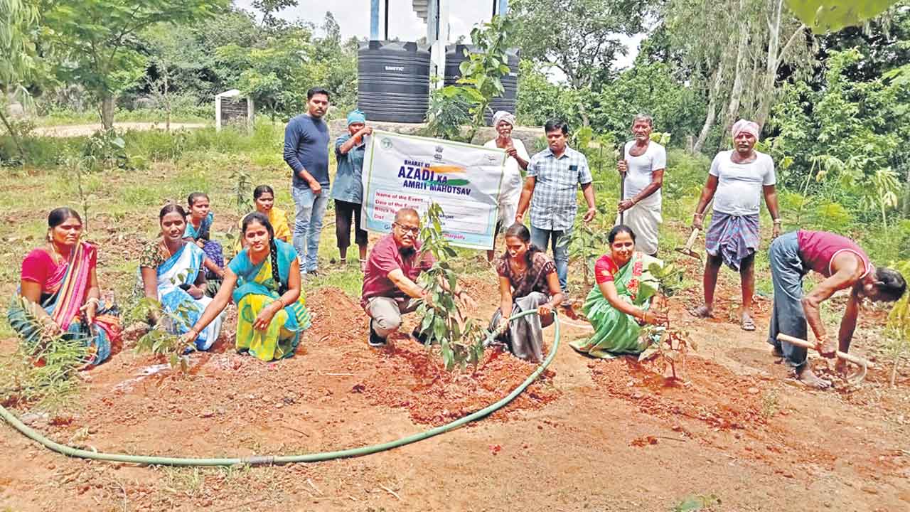 వన హారతి