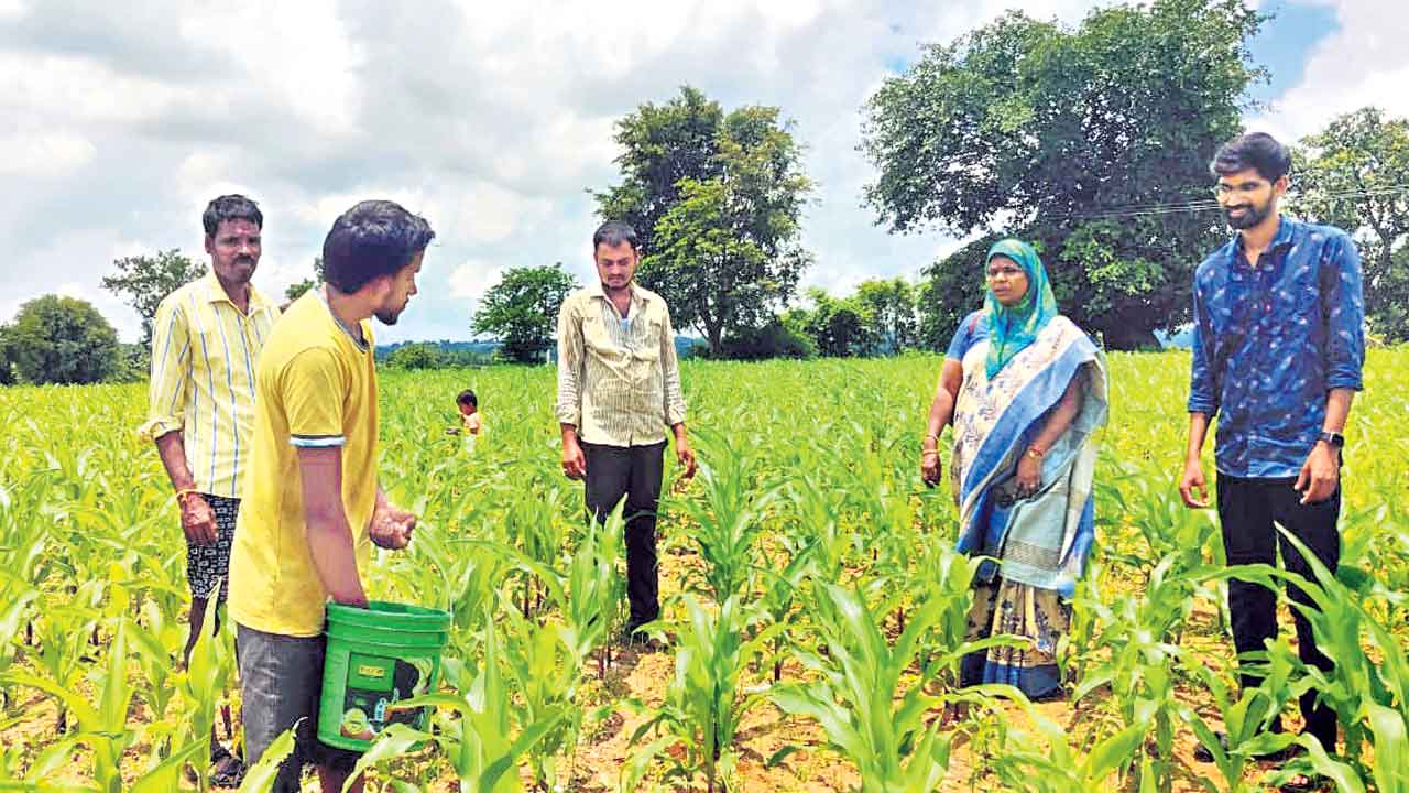 పంట లెక్క పక్కాగా