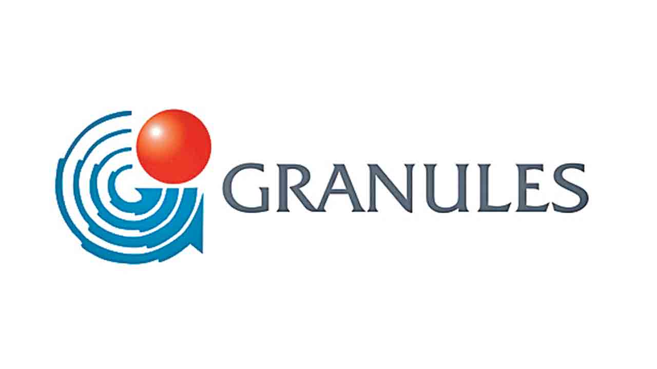 ఆకట్టుకున్న గ్రాన్యూల్స్‌