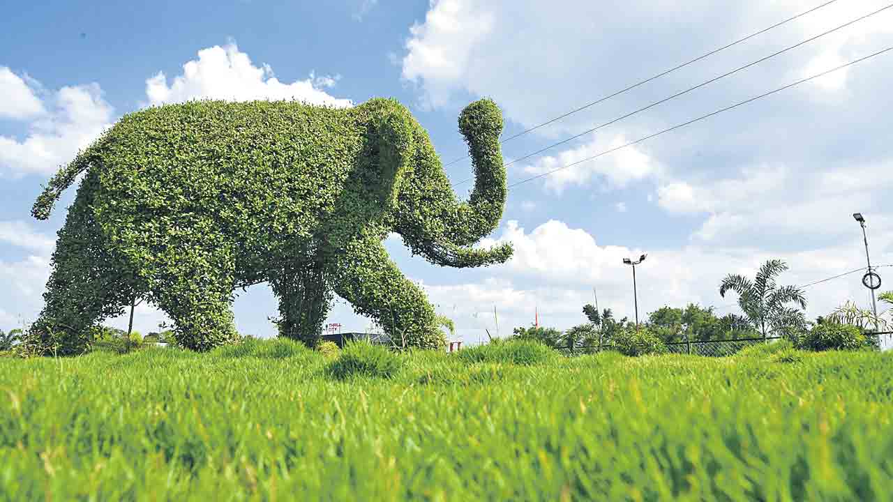 75 చోట్ల ఫ్రీడం పార్కులు