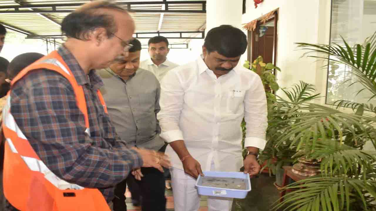 ప్రతి ఒక్కరూ పరిసరాలను శుభ్రంగా ఉంచుకోవాలి