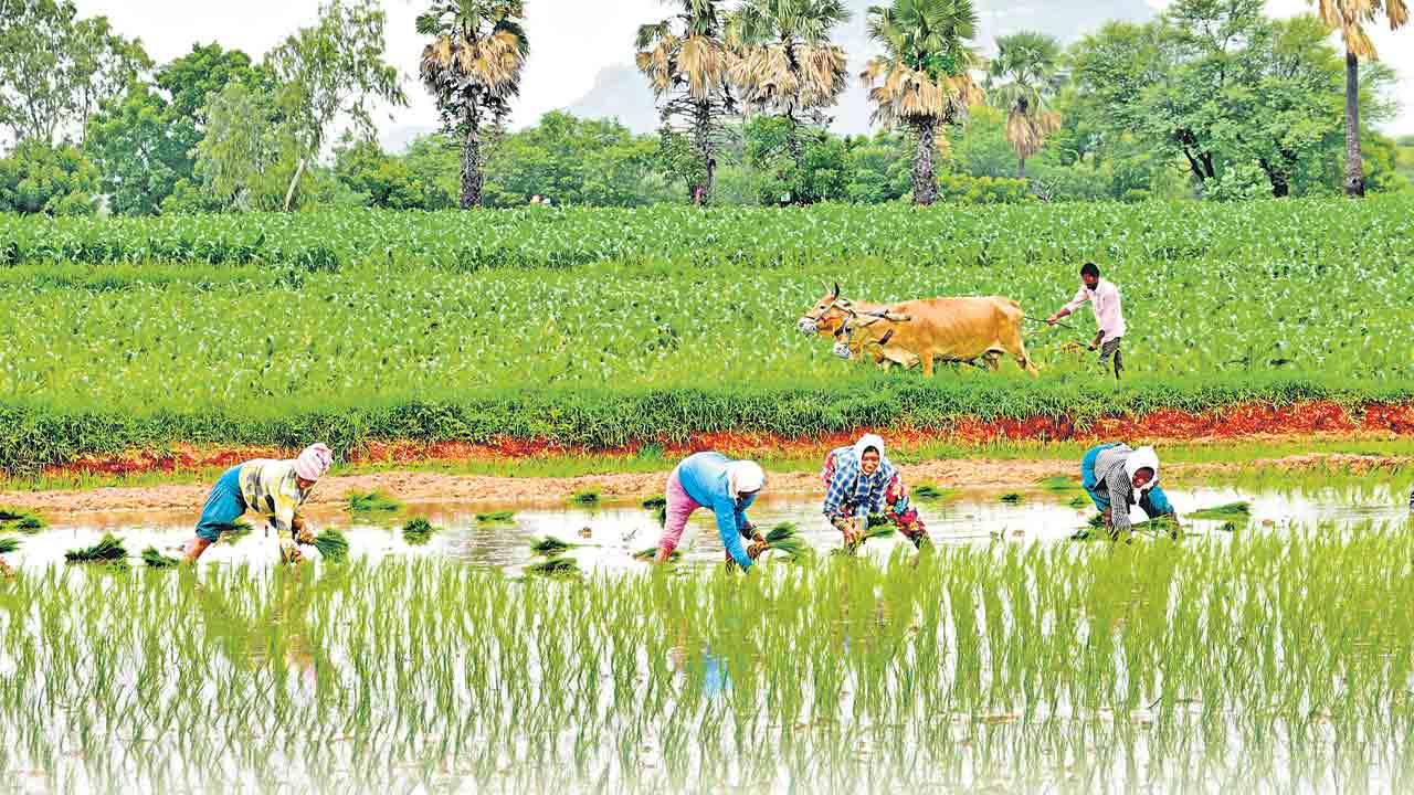 సాగు.. బహుబాగు