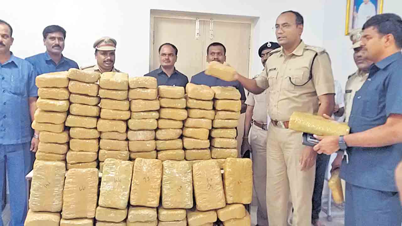 350 కిలోల గంజాయి పట్టివేత