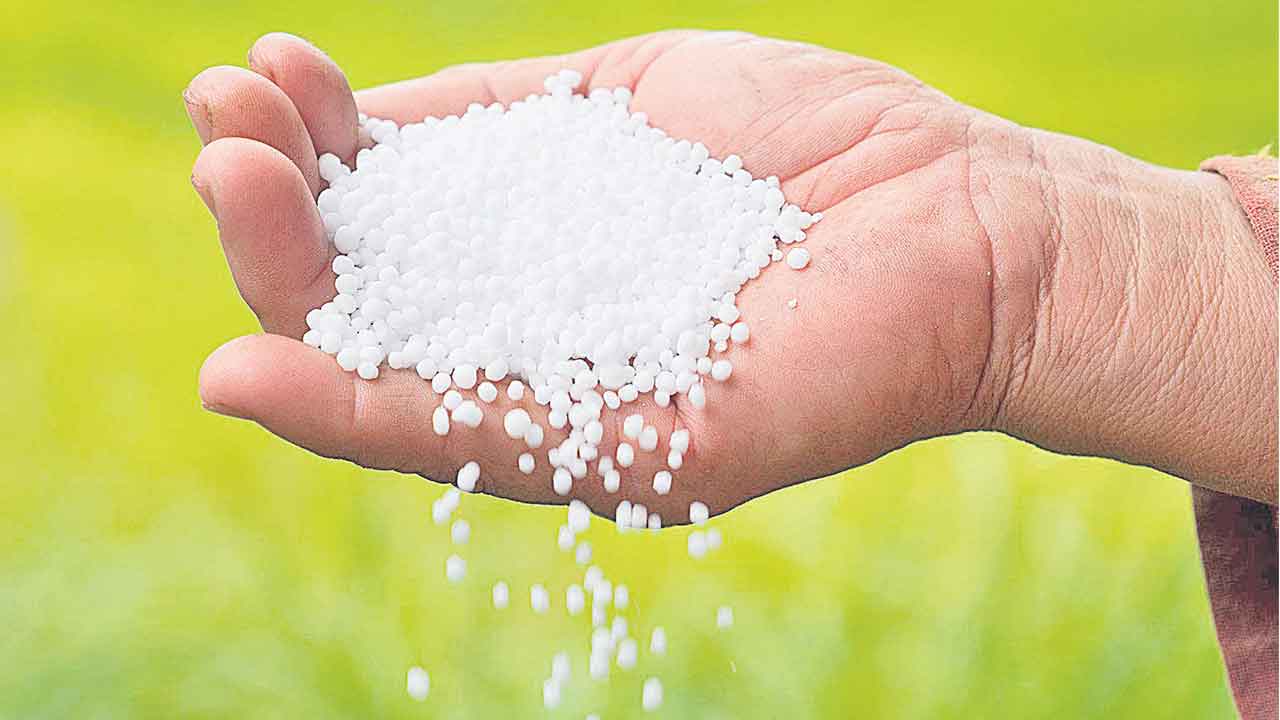 అక్టోబర్‌ నుంచి ఒకే బ్రాండ్‌ ఎరువులు