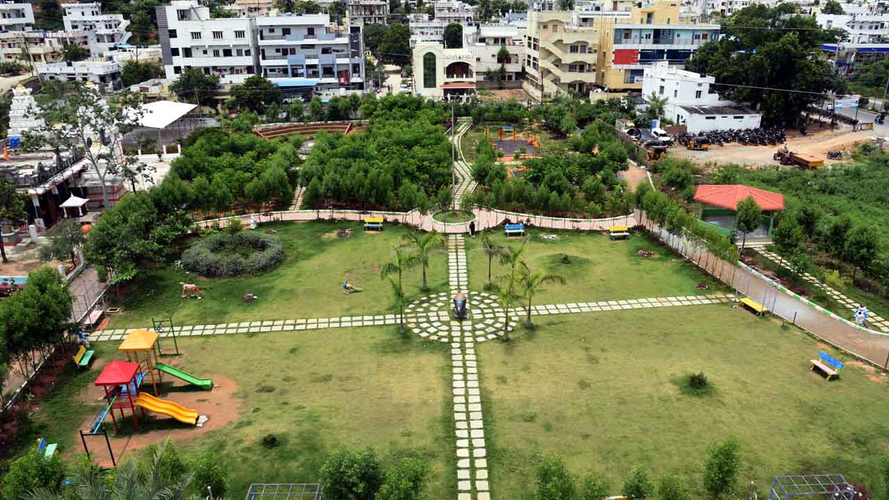 పచ్చదనం..పరవశం