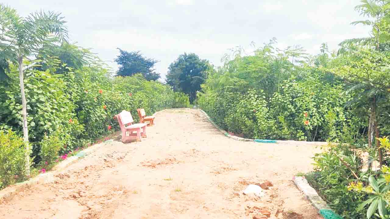 చిట్టడవుల్లా బృహత్‌ వనాలు