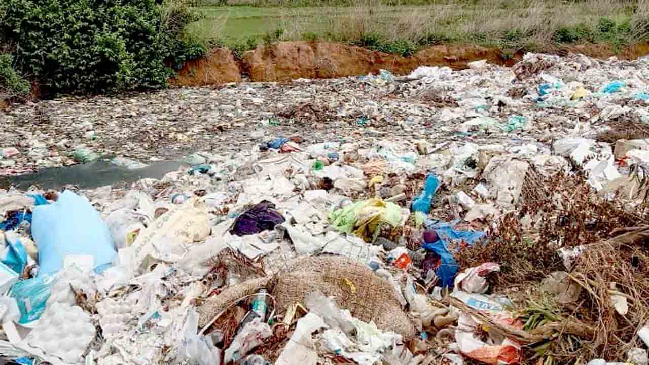 సింగిల్‌ యూజ్‌ నిషేధం అమలు ఏదీ?